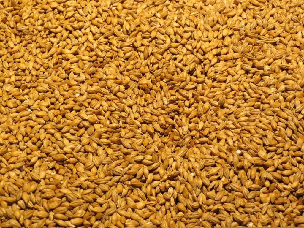 小麦麦芽の特徴